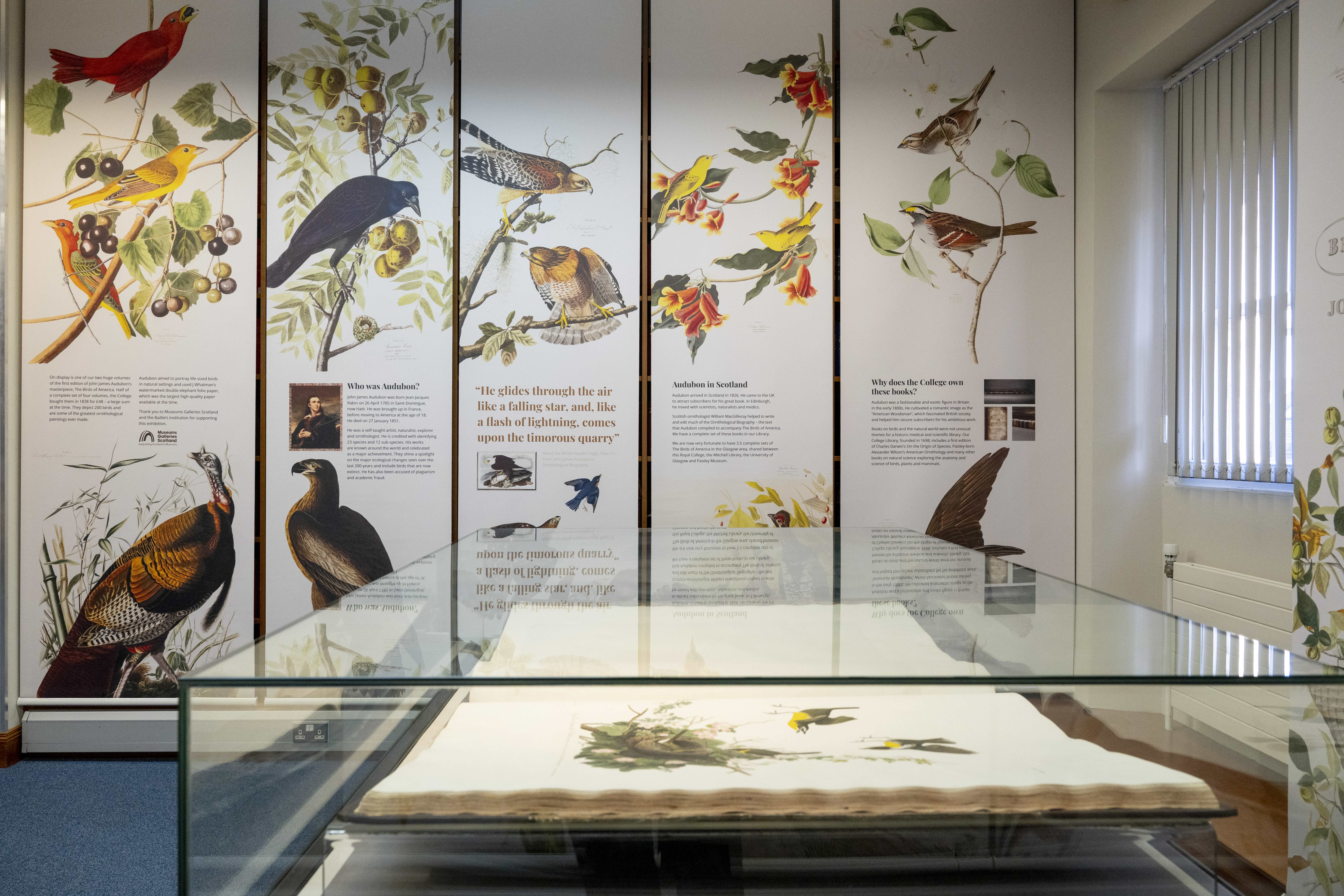 A view of the exhibition featuring the pages in a glass case and prints on the walls with information