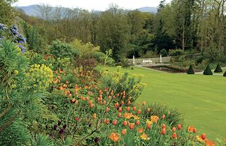 Plas Cadnant