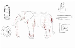 Sketch of an elephant alongside a slinky and finger to depict how joints look
