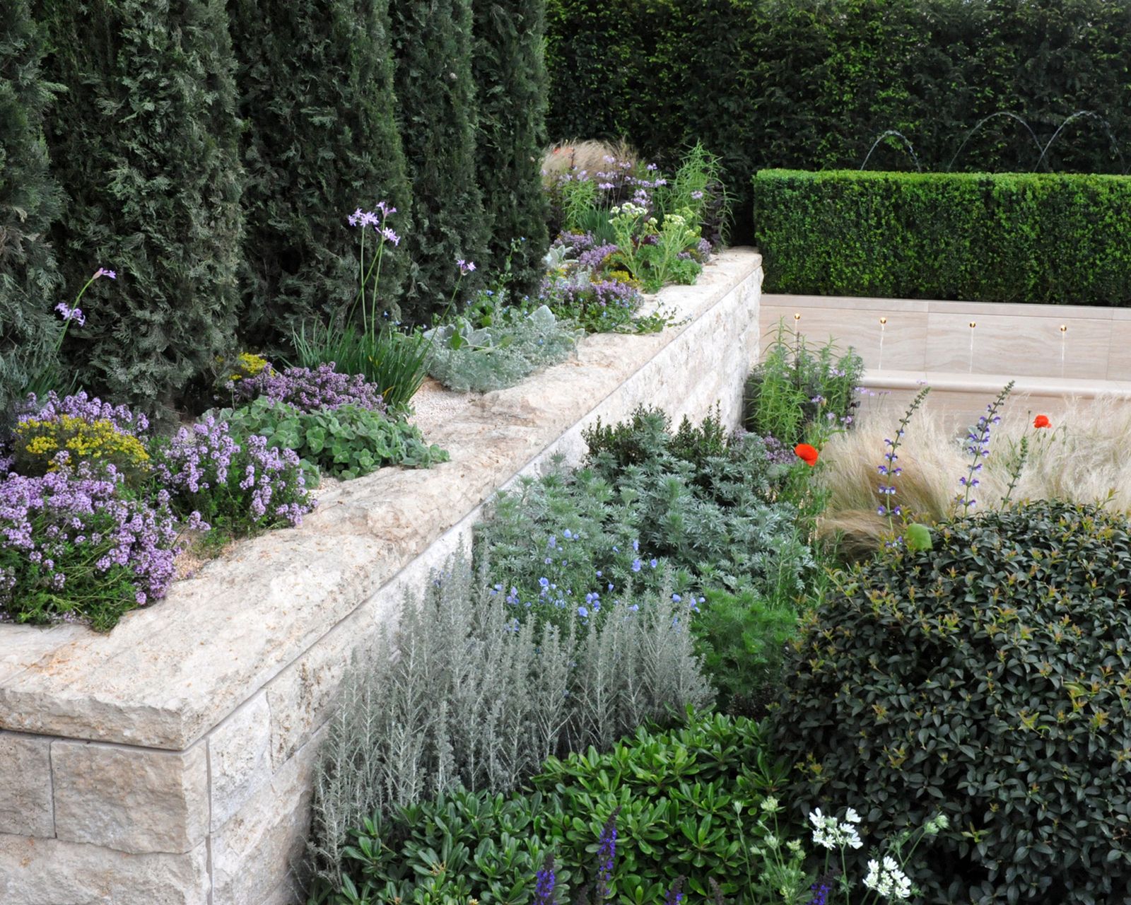 How to plan a dry garden ideas for plants and landscaping Homes