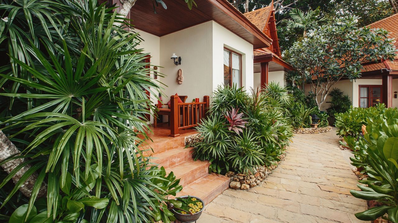 Tropical plants on patio