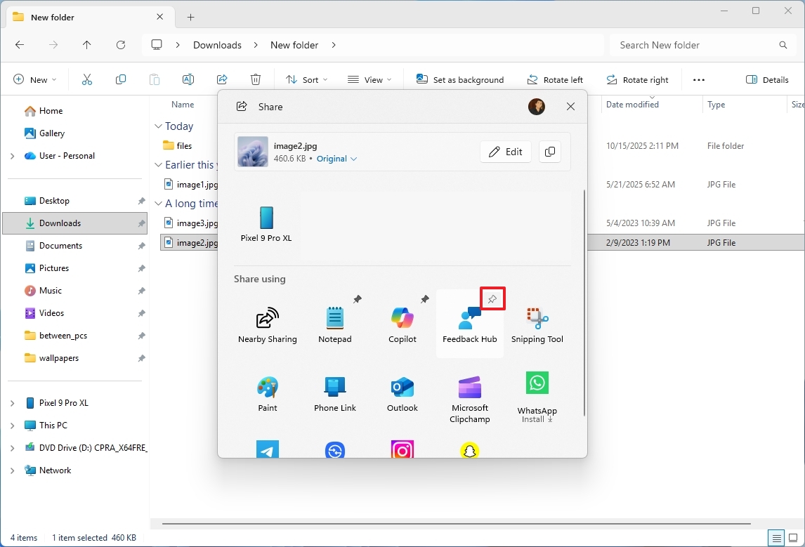 Windows Share pin option