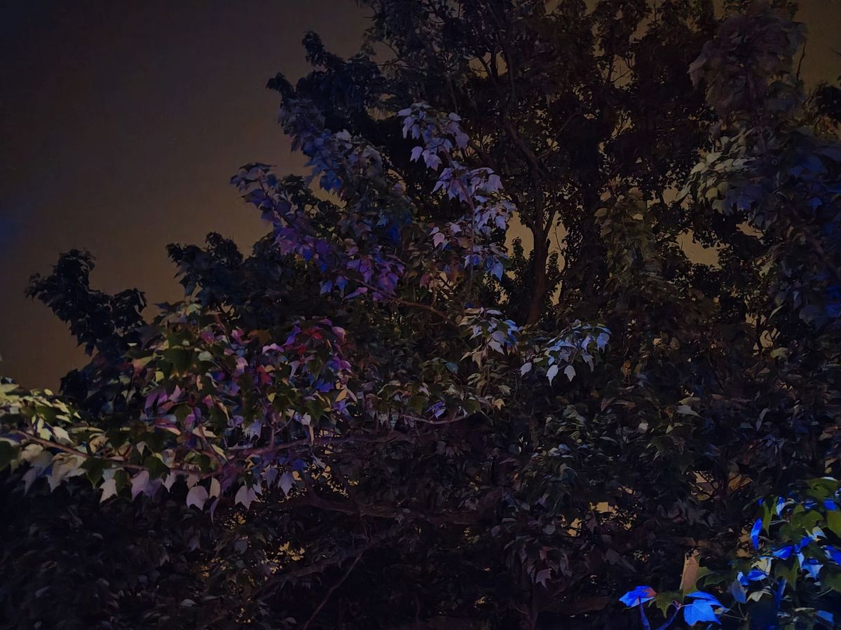 Motorola Razr Plus 2024 low light sample.