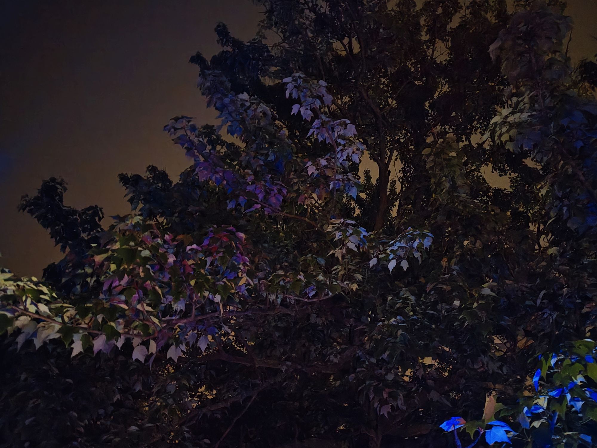 Motorola Razr Plus 2024 low light sample.