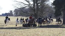 East_Anglian_Bloodhounds_Somerleyton0310_018.jpg