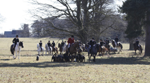 East_Anglian_Bloodhounds_Somerleyton0310_018.jpg