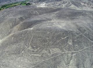 Until the restoration this year, time and erosion had almost obliterated the ancient orca geoglyph to untrained eyes.