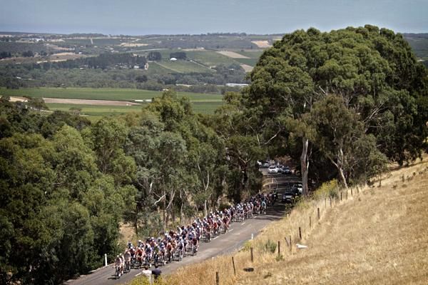 The Tour Down Under was more than just a sprinter's race on stage 3