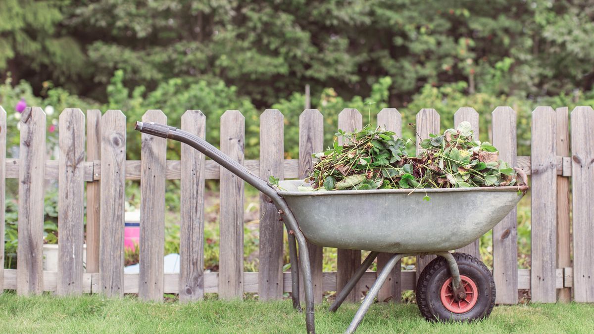 Does killing weeds with salt really work? | Gardeningetc