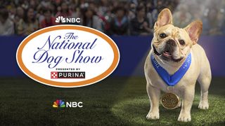 Key art from the National Dog Show 2023 featuring 2022 Champion Winston the French Bulldog