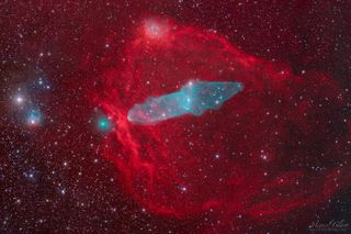 a large red gaseous looking cloud of dust and gas surrounds a blue hued cloud shaped like a squid. to the left of the squid is a greeny blue sphere of light.