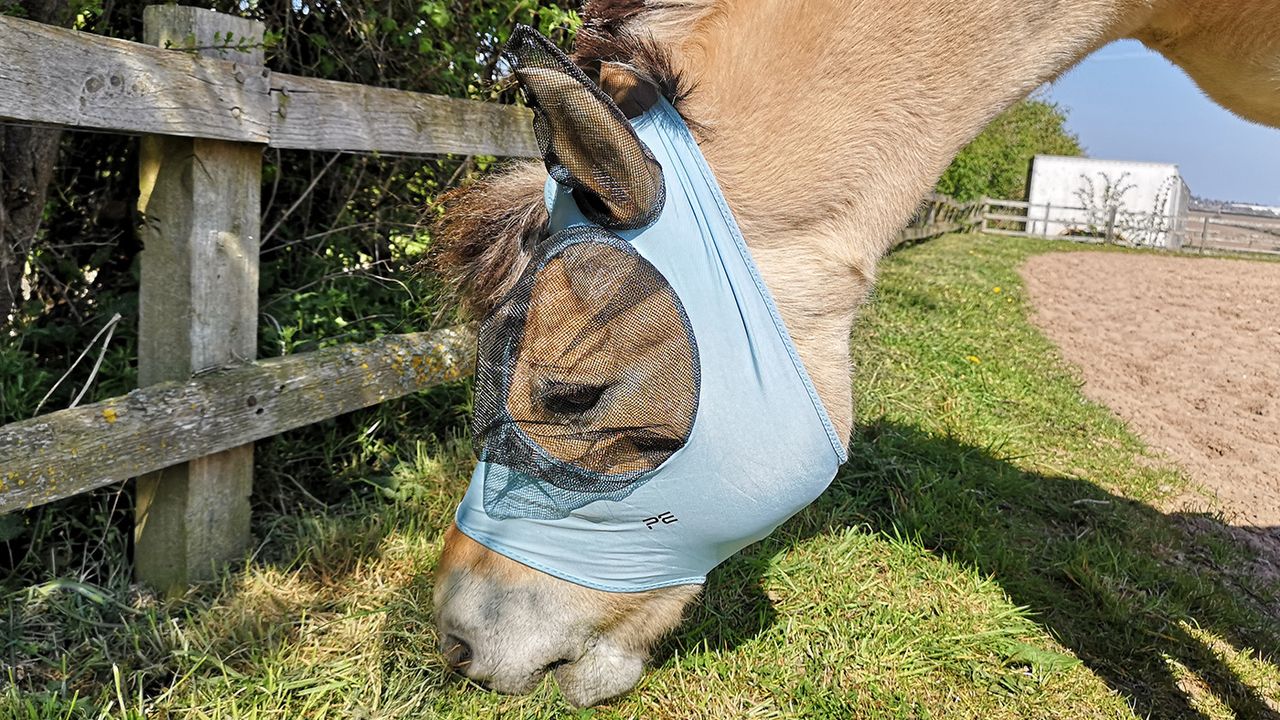 Premier Equine Comfort Tech Lycra Fly Mask from side