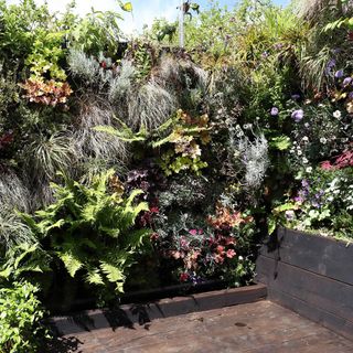 garden area with plant wall and wooden floor