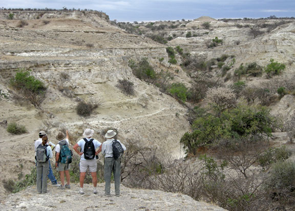 The Olorgesailie field team looking over a thick sequence of exposed strata in the area about 18 kilometers northeast of the core drilling site. About 40 meters of sediment depth are exposed here — the drill core is four times thicker. The advantage of outcrops is that you can map them, see them change laterally, and find fossils and artifacts within them. The advantage of a core is that it gives a thicker, more continuous record and also preserves layering details and microfossils.