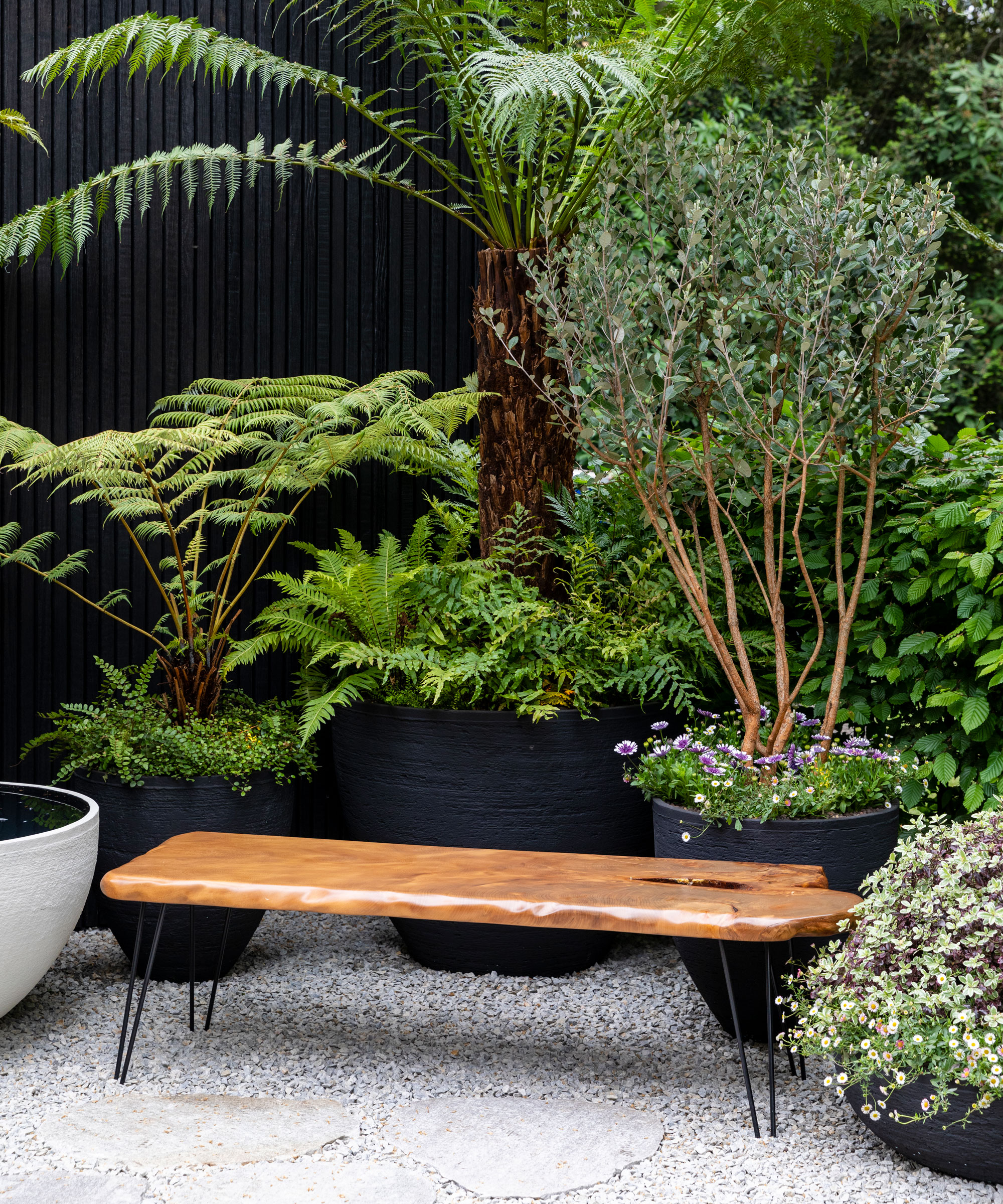 collection of containers planted with trees, ferns, and flowers, with garden bench, gravel and pavers
