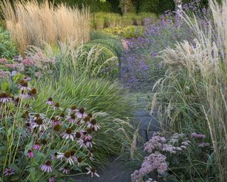 Perennials for a late season show