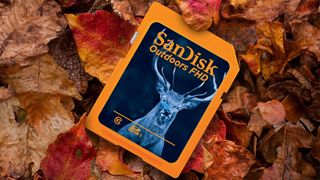 SanDisk Outdoors SDXC card