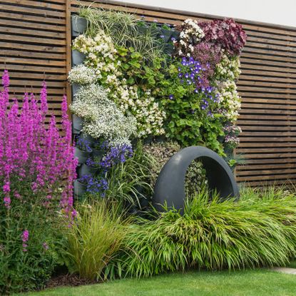 outdoor living wall as part of fence, full of colour and plants, lawn