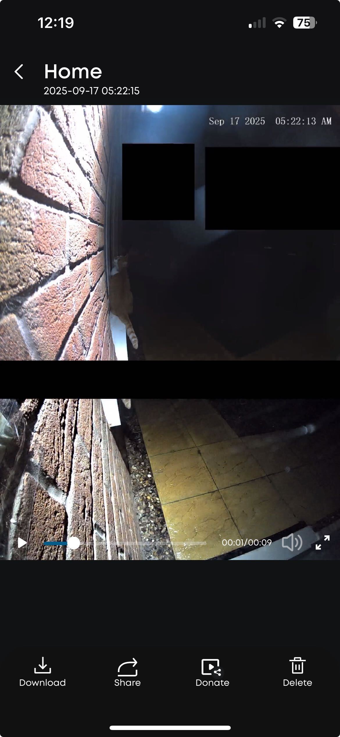 Screenshots of video clarity in the dark, which shows my ginger cat on the windowsill. The built-in lights are on, as triggered by the motion of my cat.