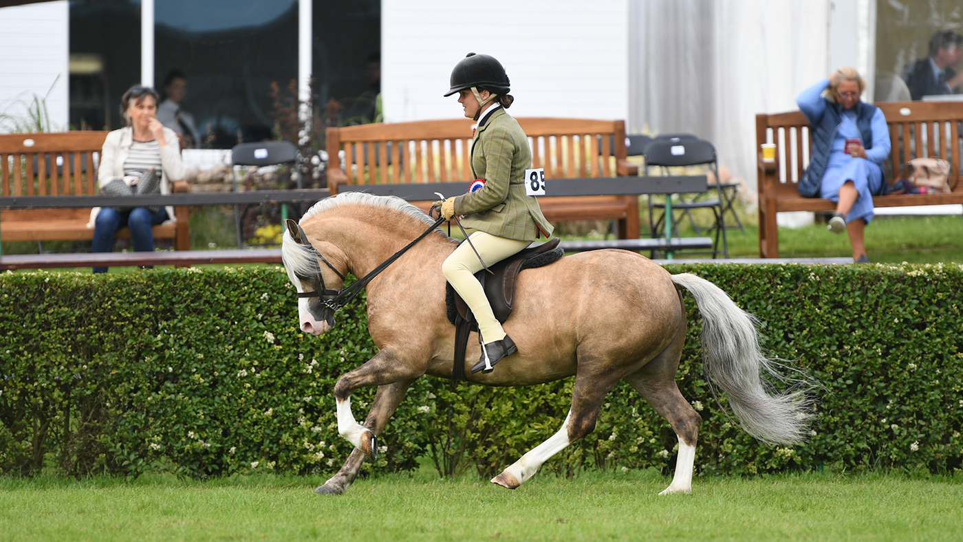 Great Yorkshire Show 10 07 19