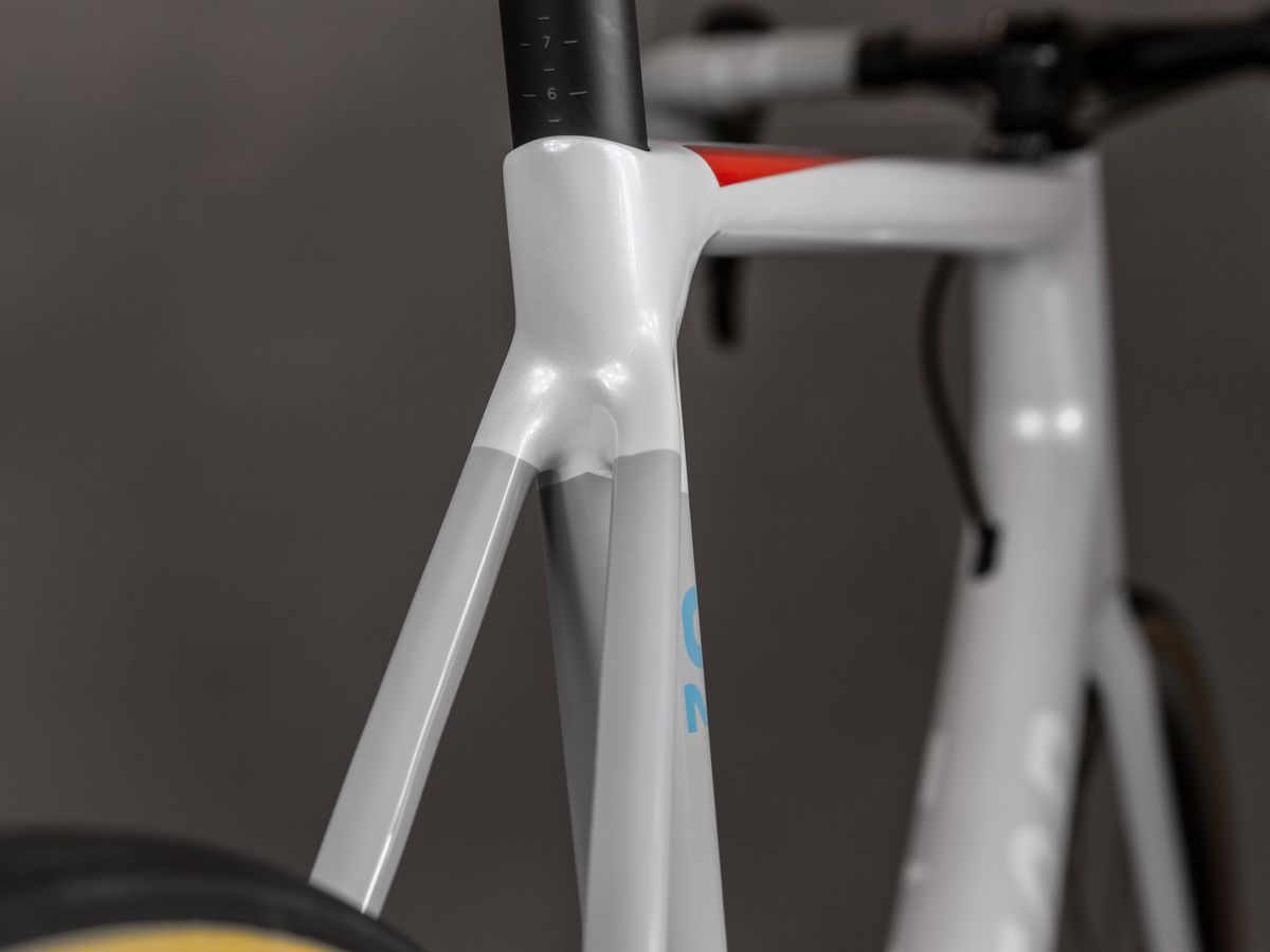 No brake bridge on the seat stays for the disc version