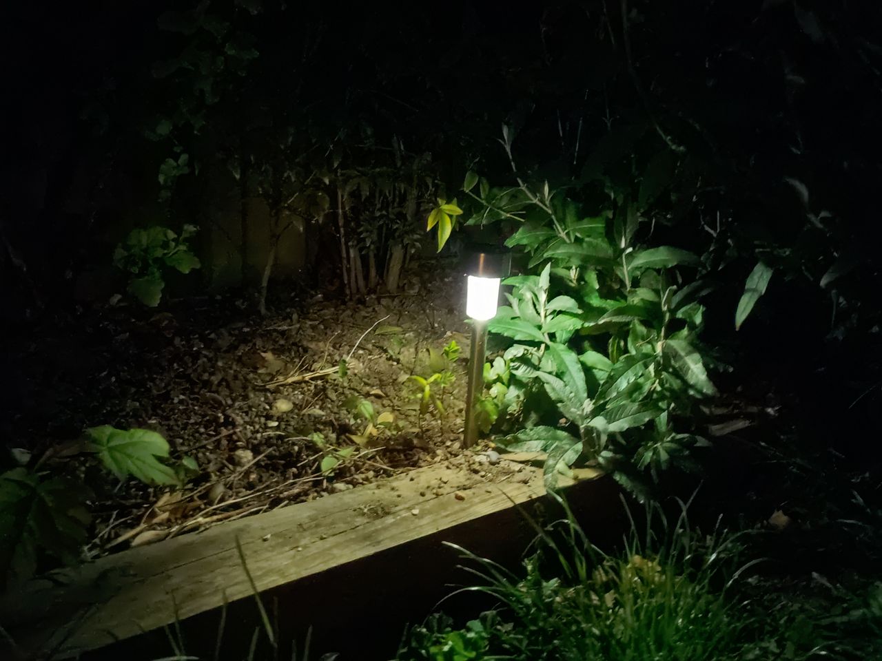 OnePlus 8 pro photo gallery