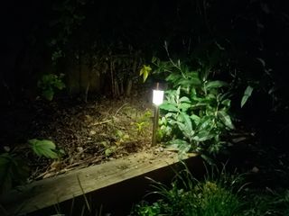 Switch to nightscape and the 8 Pro does reasonably well, but Samsung and Huawei are better