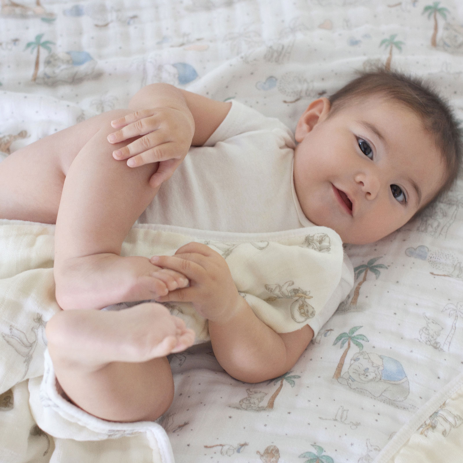 eden anais darling dumbo muslin blanket