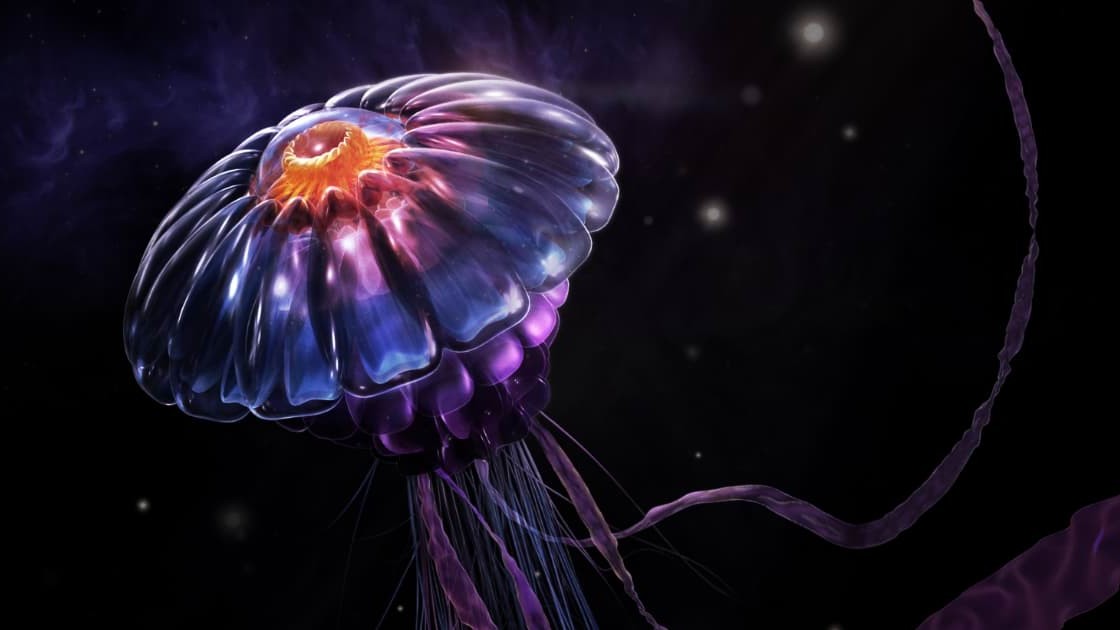 Design apps for Windows: Illustration of jellyfish