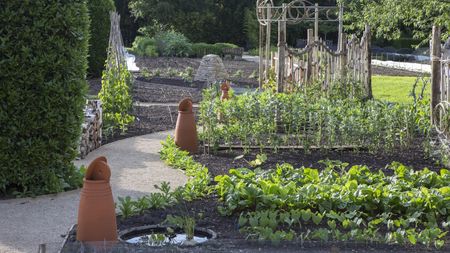 The summer vegetable garden at Le Manoir Aux Quat Saisons