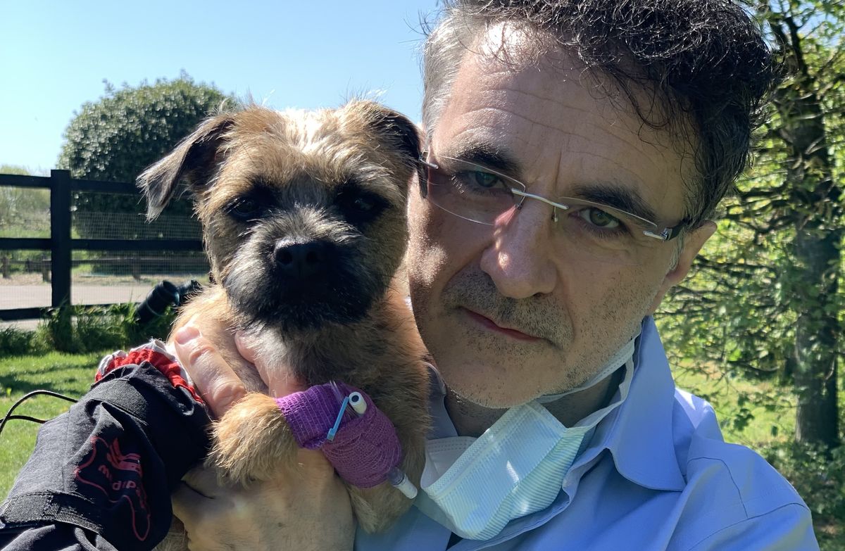 The Supervet 2024 release date, host and all we know What to Watch