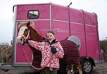 pinkhorsebox.jpg
