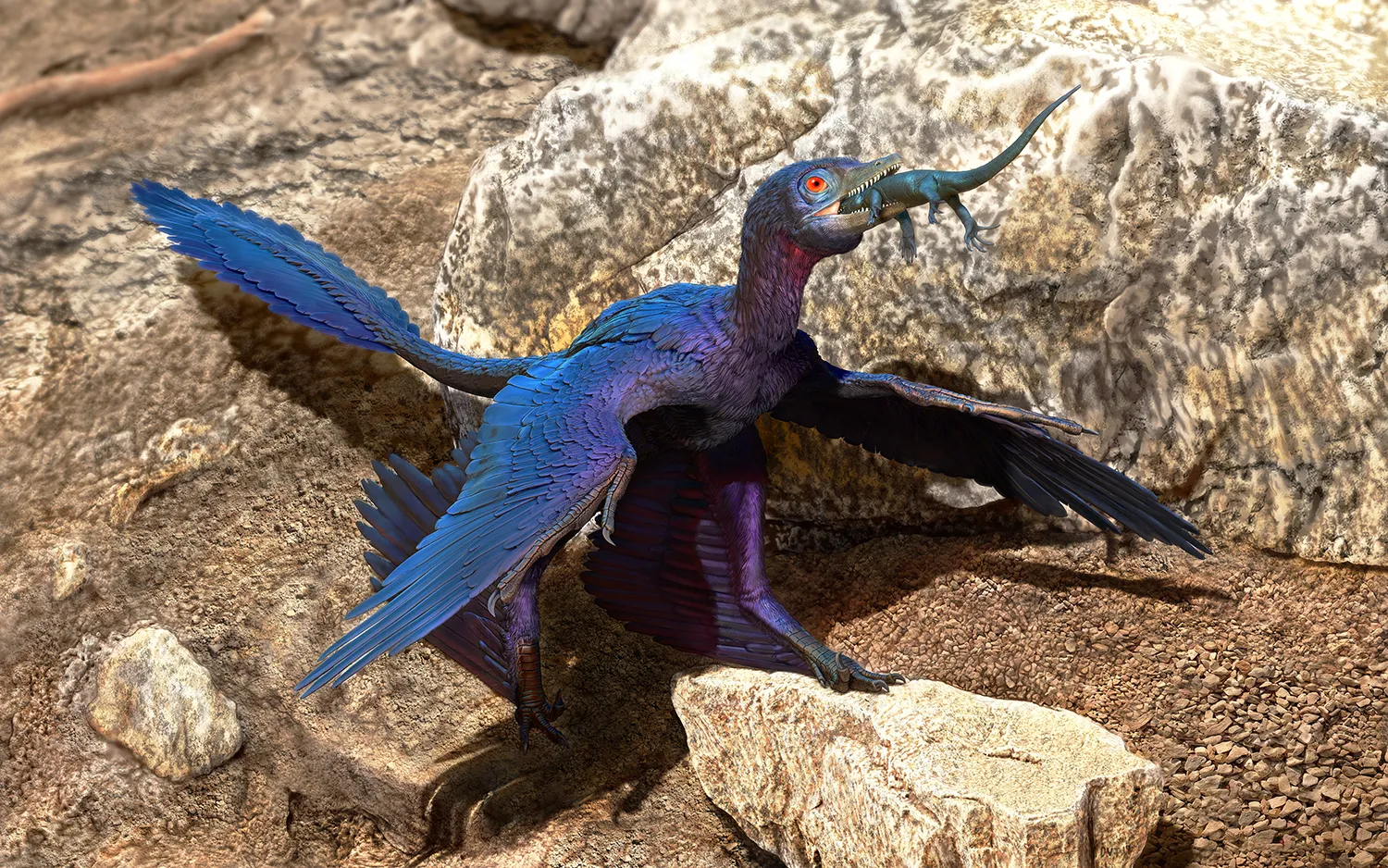 Tiny Four-Winged Dinosaur Sported Shimmery Black Feathers