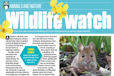 Wildlife Watch article