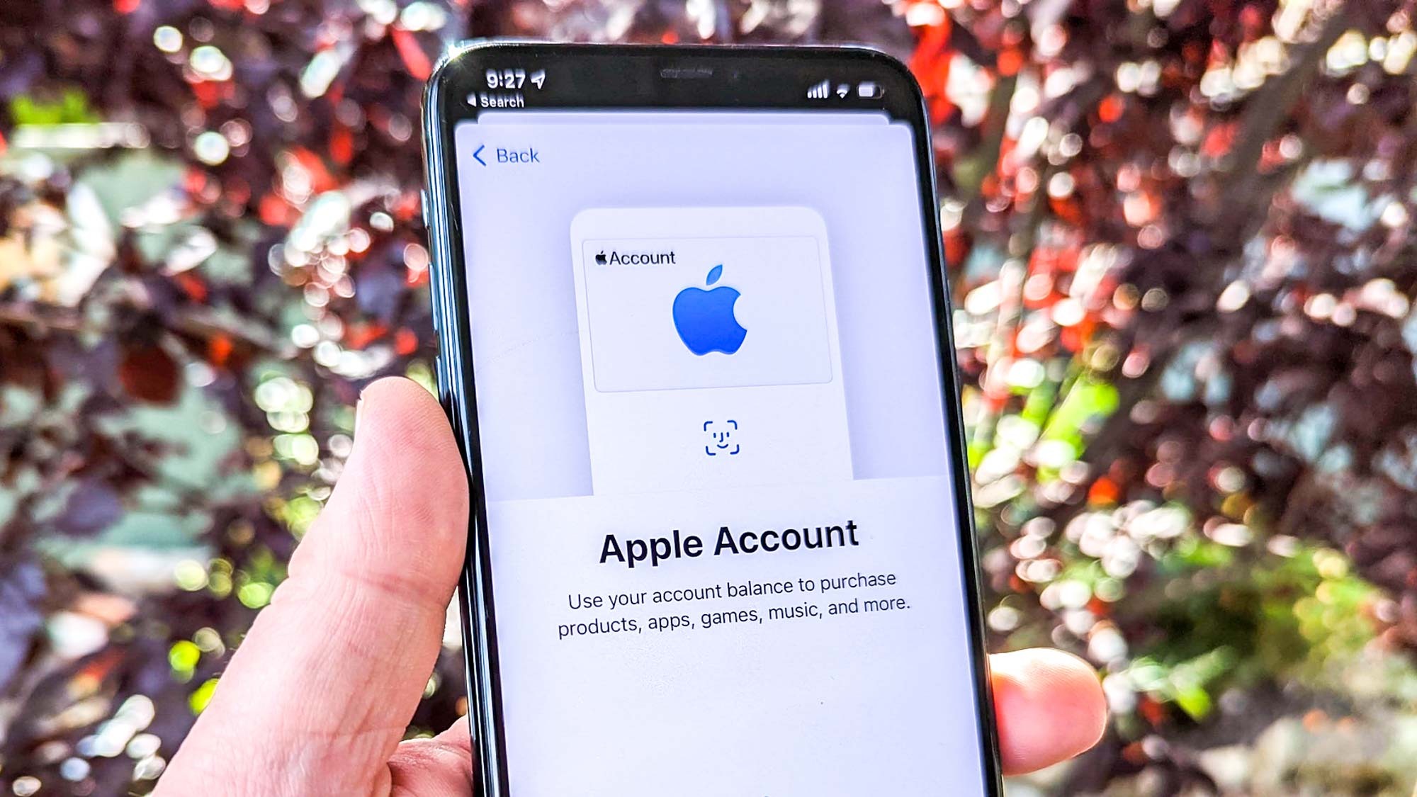 apple wallet account