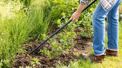 A gardener uses a weedwhacker