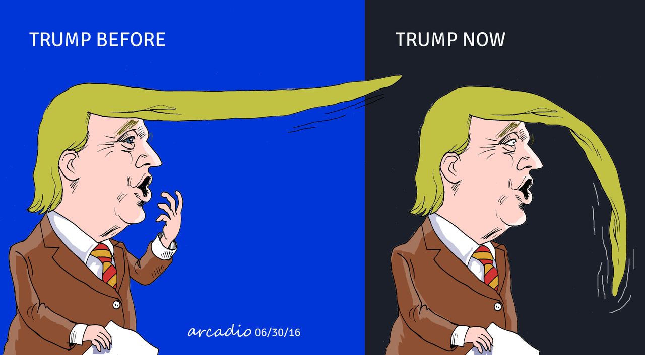 Political cartoon US Donald Trump hair