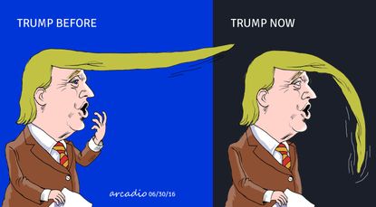 Political cartoon US Donald Trump hair
