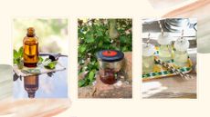 Collage of 3 natural methods to show how to keep wasps away without harming them