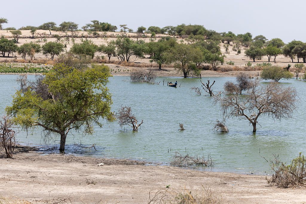 A general view of dead trees in an arm of the lake flooded since the last rainy season, near Kiskawa, Lake Chad Province, Chad, on June 23, 2025.