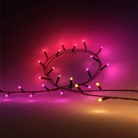 Philips Hue Festavia String Lights | was $131.99, now $79.19 at Philips Hue (save $52.80)