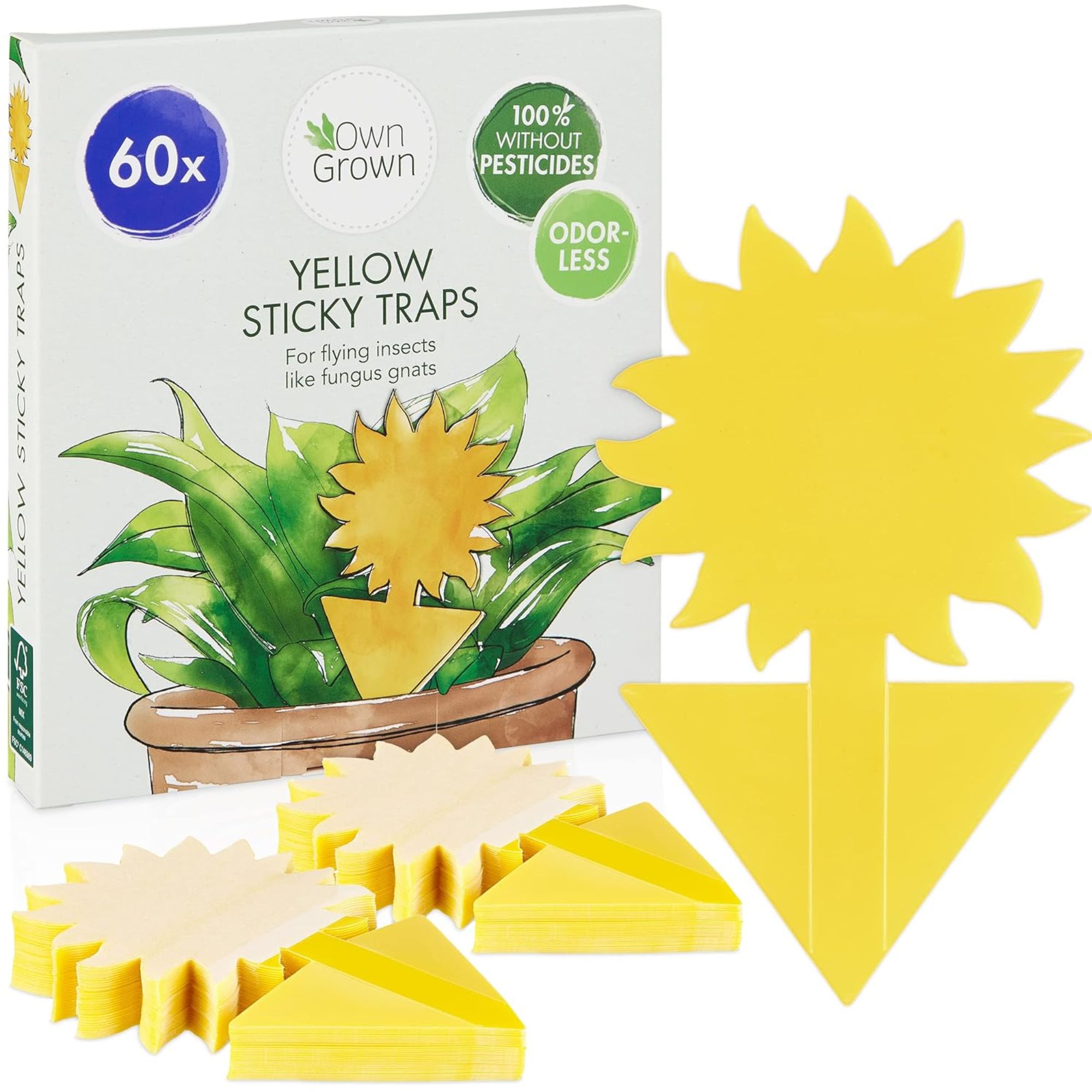 Yellow sticky traps for garden pests