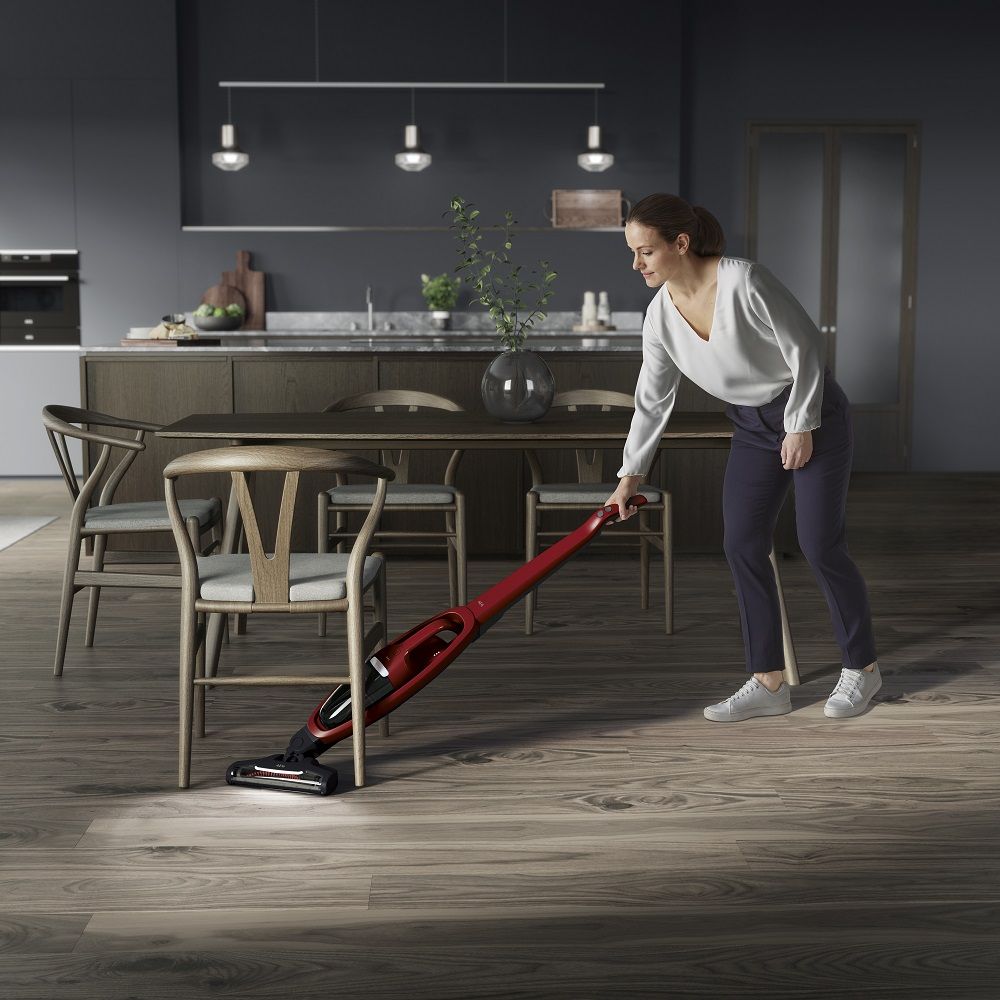 AEG QX6 Animal vacuum cleaner