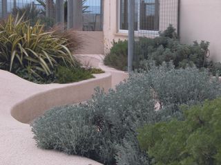 garden trends with curved concrete planting beds
