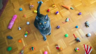 which cat toys are best