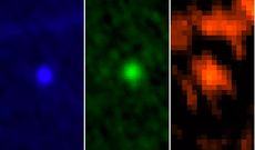 ESA&rsquo;s Herschel Space Observatory captured asteroid Apophis in its field of view during the approach to Earth on January, 5-6, 2013. This image shows the asteroid in Herschel&rsquo;s three PACS wavelengths: 70, 100 and 160 microns.