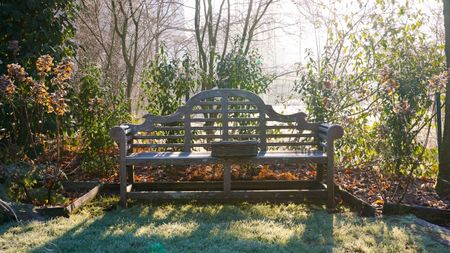 A wooden garden bench surrounded by grass and shrubs on a frosty morning