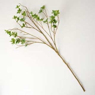 Oversized Green Leaf Branch