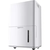Amazon Basics Dehumidifier | $218.49 at Amazon