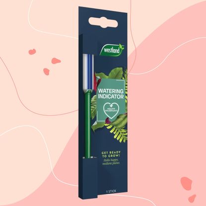 Westland Watering Indicator on pink background